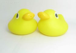 Bath toy of Rubber duck